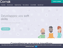Tablet Screenshot of cornak.com